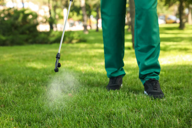 Pest Control for Restaurants in West Pensacola, FL
