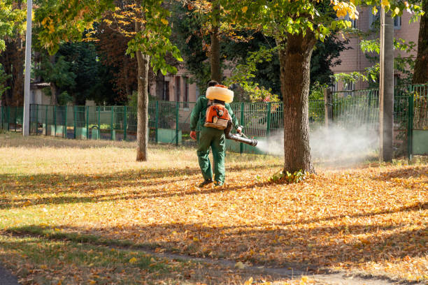 Best Termite Control Services  in West Pensacola, FL