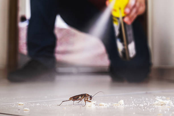 Pest Prevention Services in West Pensacola, FL